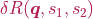 \delta R(\boldsymbol{q}, s_{1}, s_{2})