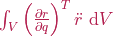 \int_{V} \left(\frac{\partial r}{\partial q}\right)^{T} \ddot{r} \,\, \mathrm{d}V
