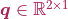 \boldsymbol{q} \in \mathbb{R}^{2 \times 1}